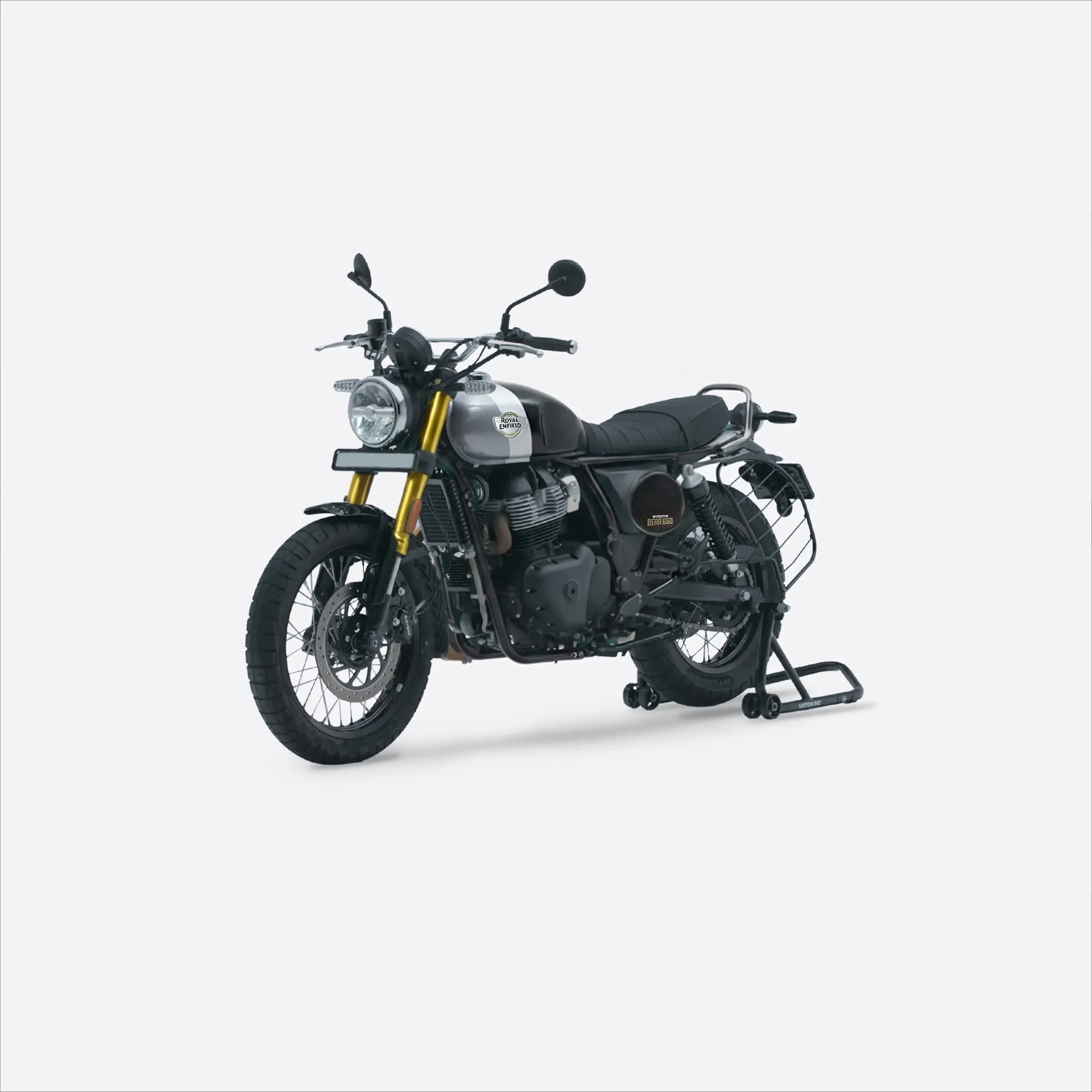 Royal Enfield Bear 650 - Golden Shadow
