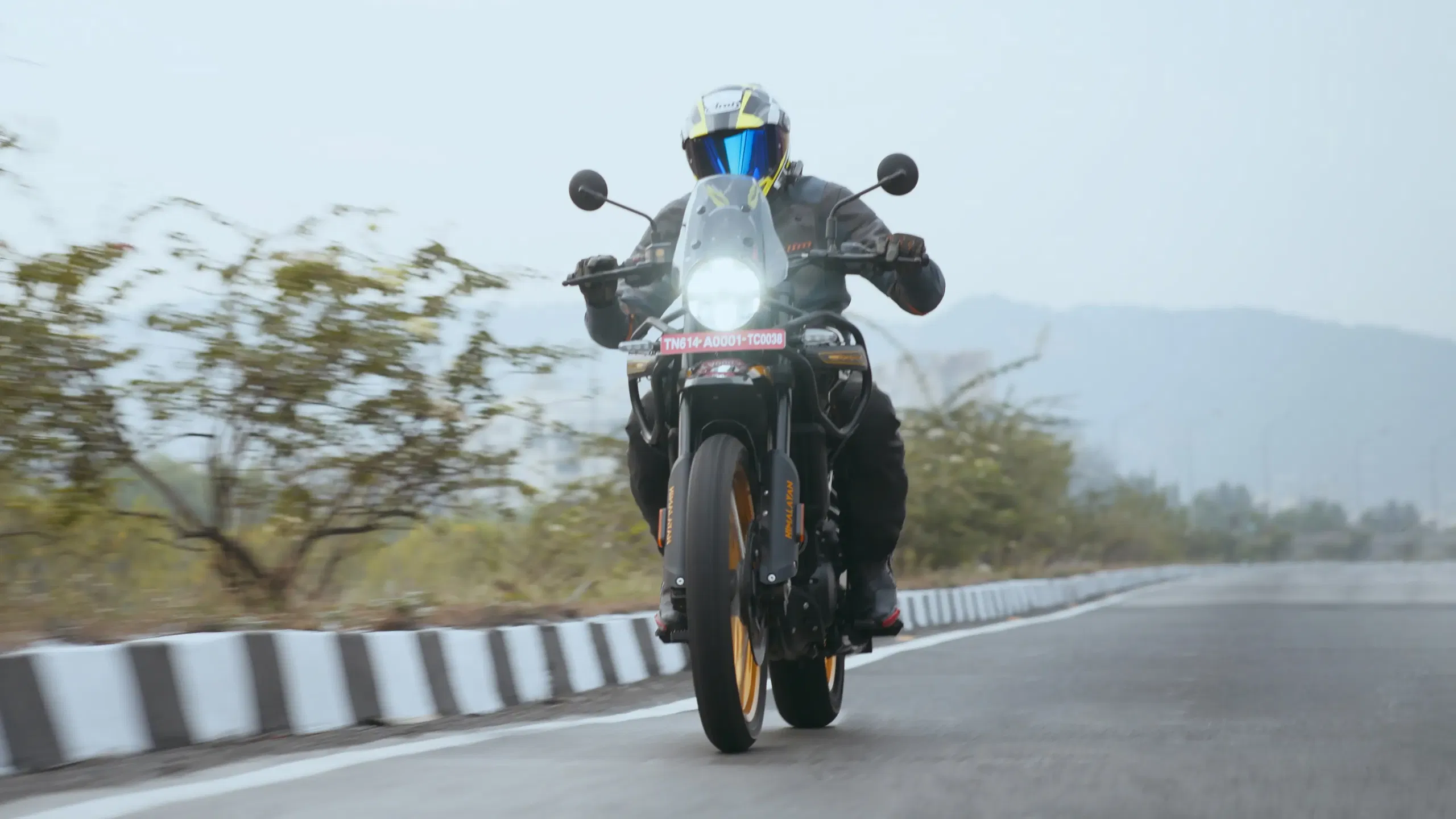 Himalayan interior 2