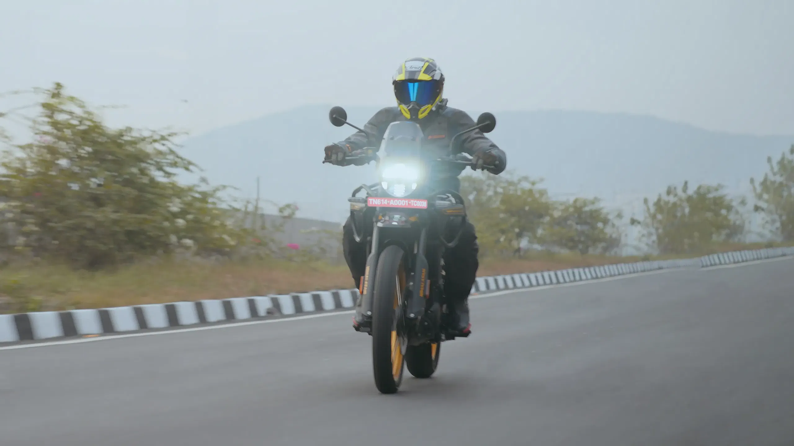 Himalayan interior 1